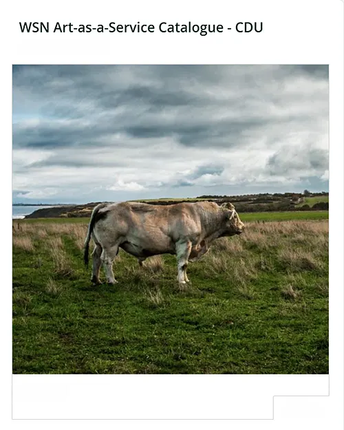 Wall Space North County Durham Places fine art photography collection thumbnail